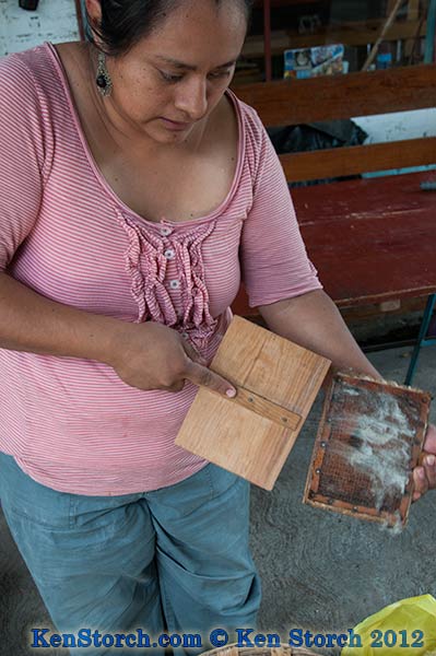Carding the raw wool