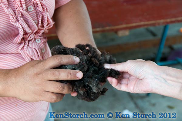 Raw wool